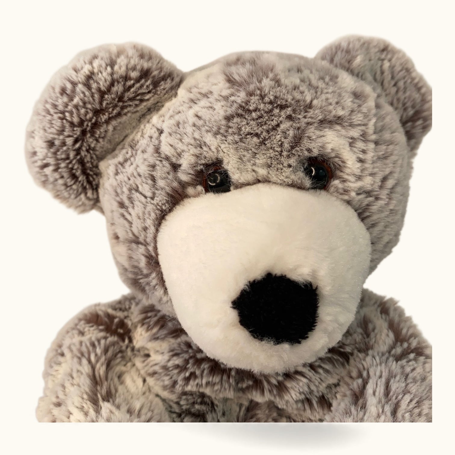 Gray teddy bear with a white muzzle on a white background