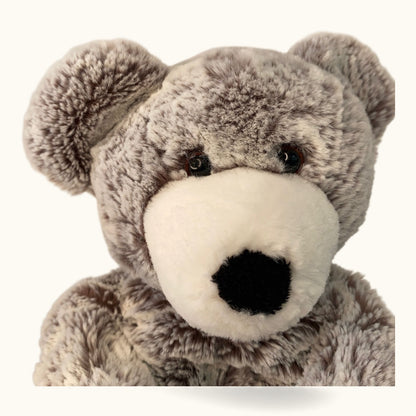 Gray teddy bear with a white muzzle on a white background