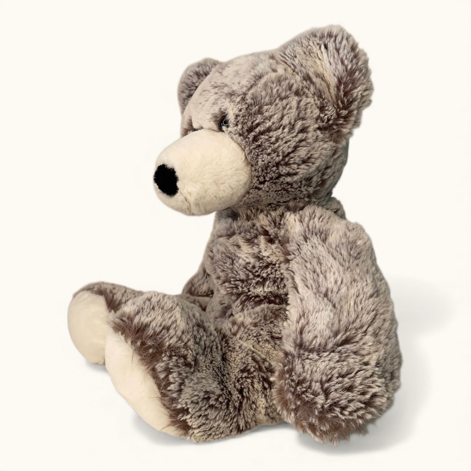 Plush teddy bear on a white background