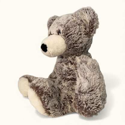 Plush teddy bear on a white background
