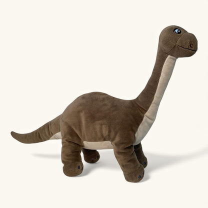 Plush dinosaur toy on a white background