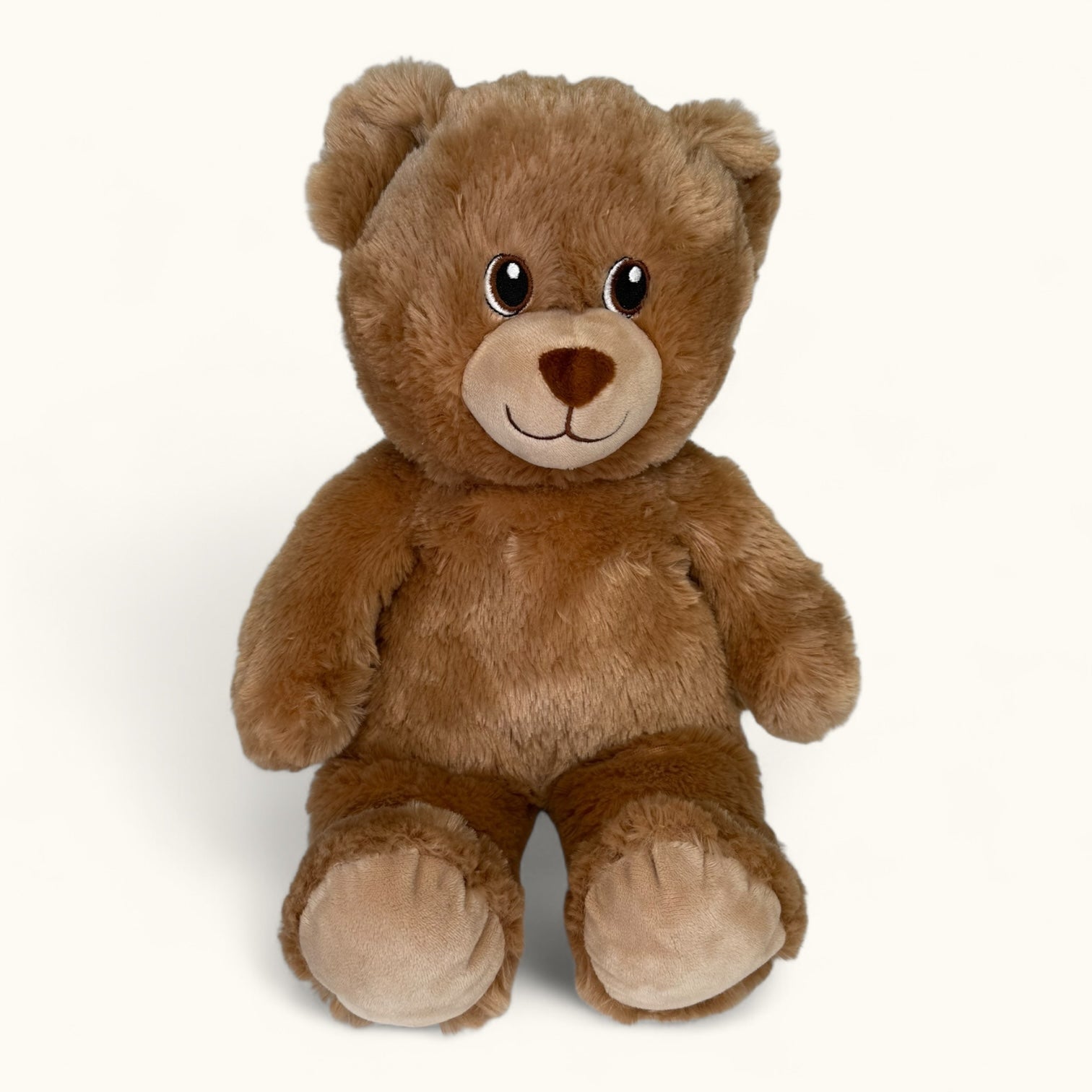 Brown teddy bear on a white background