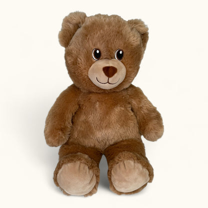 Brown teddy bear on a white background