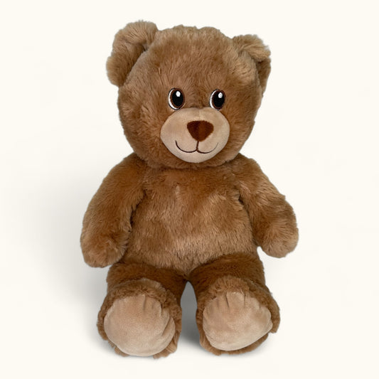 Brown teddy bear on a white background