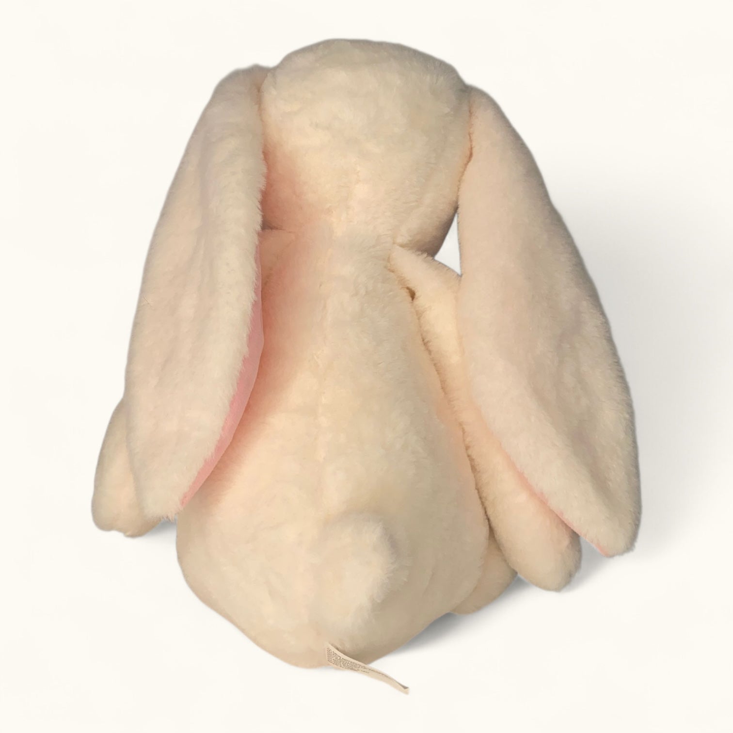 Raw chicken breast on a white background