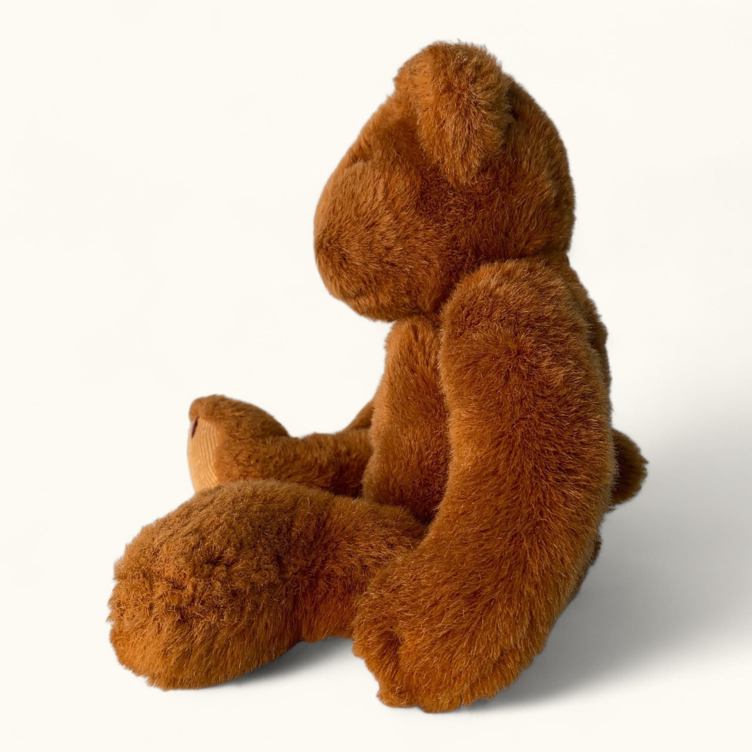 Brown teddy bear sitting on a white background