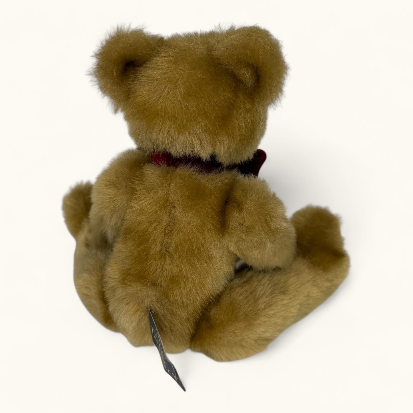 Brown teddy bear with a red ribbon on a white background