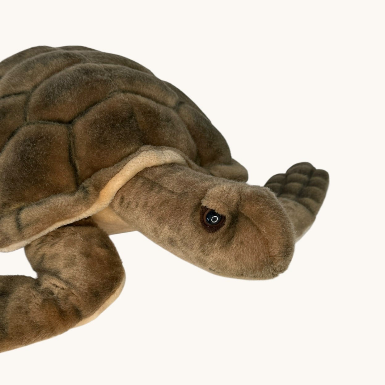Plush turtle toy on a white background