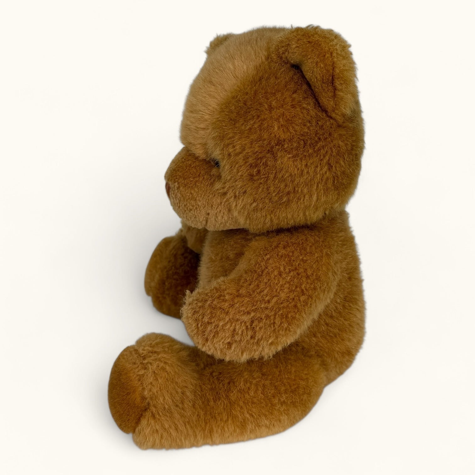 Brown teddy bear on a white background
