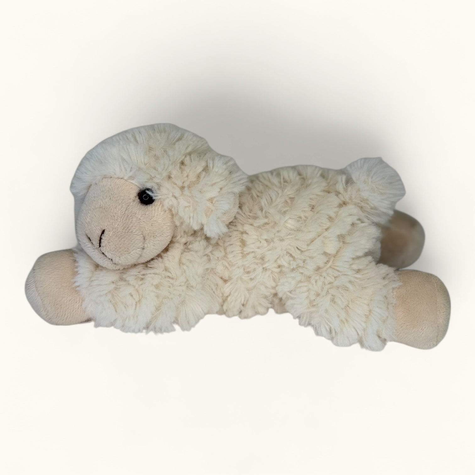 Plush toy sheep on a white background