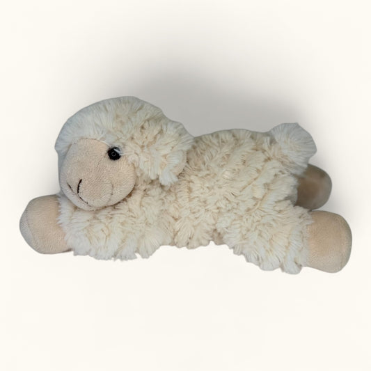 Plush toy sheep on a white background