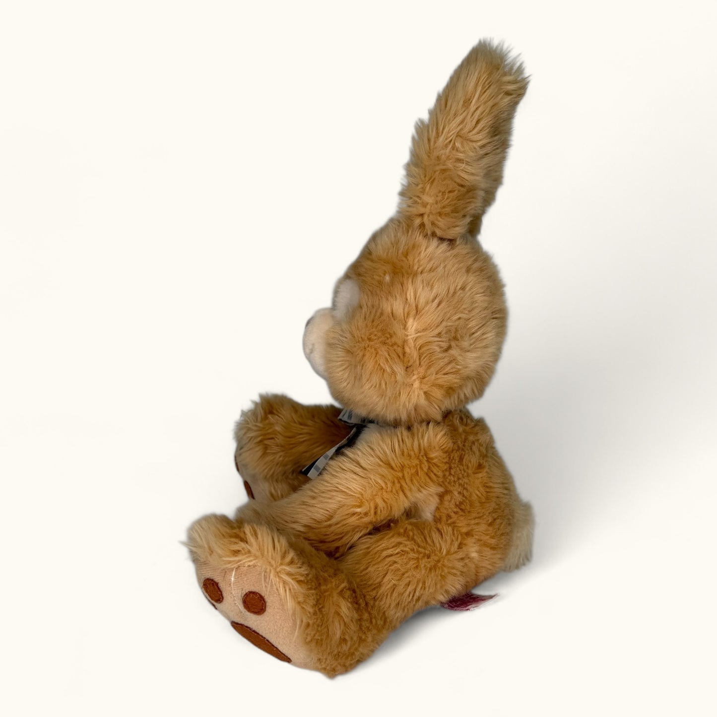 Brown teddy bear sitting on a white background