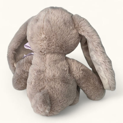 Plush toy bunny on a white background
