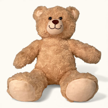 Brown teddy bear on a white background
