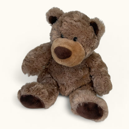 Brown teddy bear on a white background