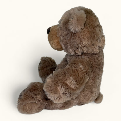 Plush bear toy on a white background