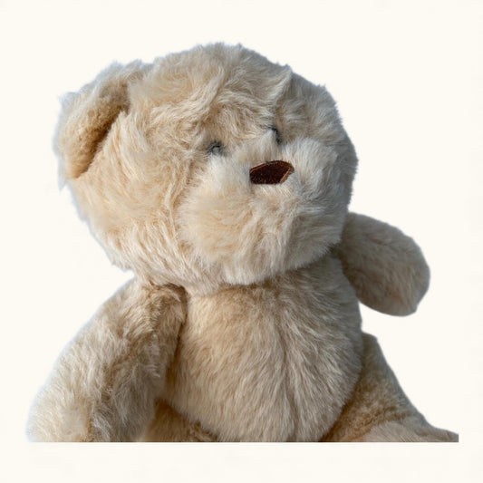 Beige teddy bear on a white background