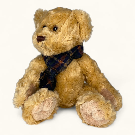 Brown teddy bear wearing a plaid scarf on a white background