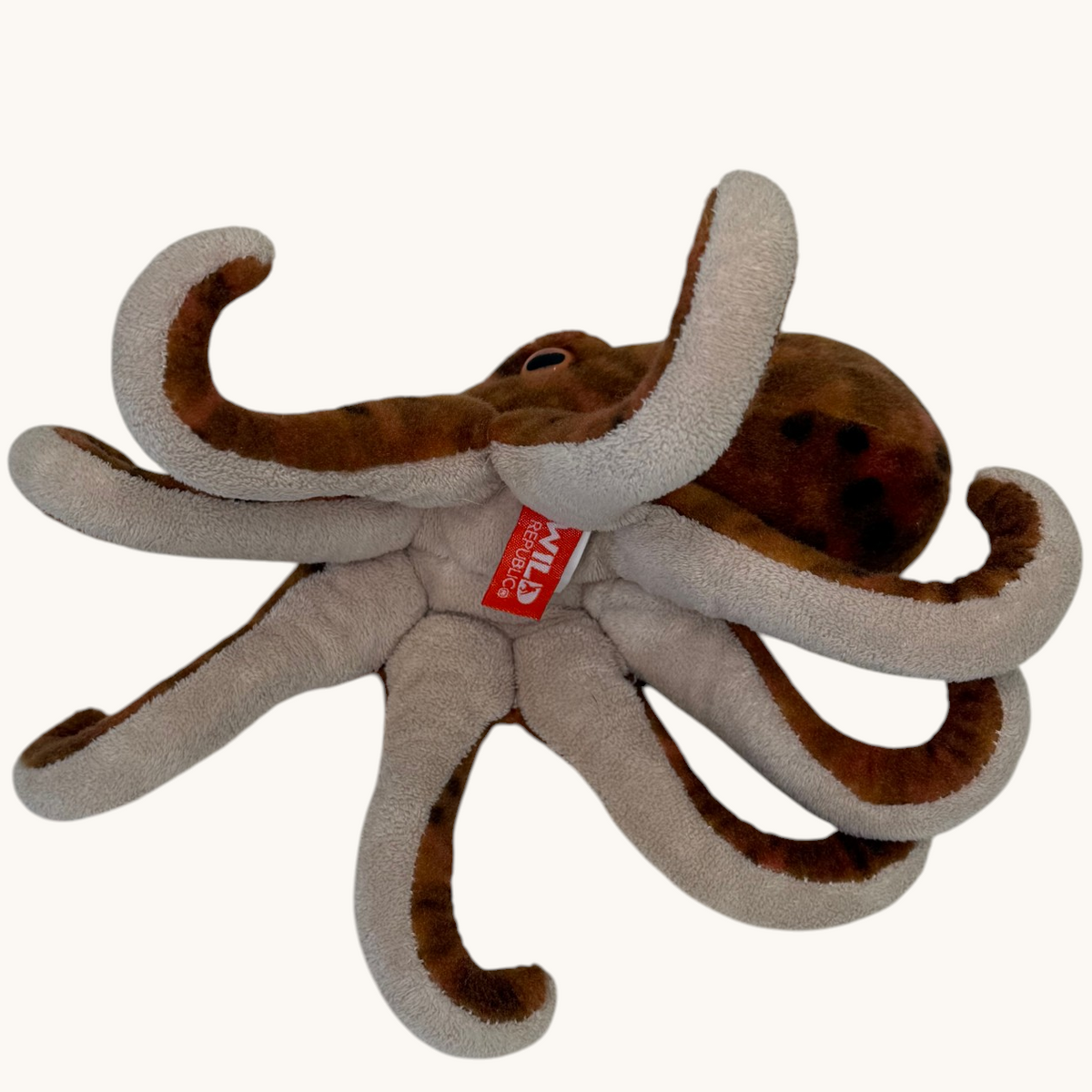 Otto