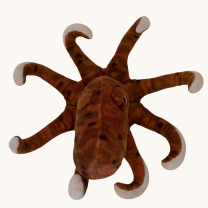 Otto