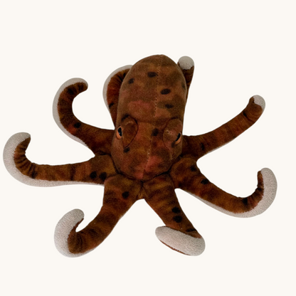 Otto