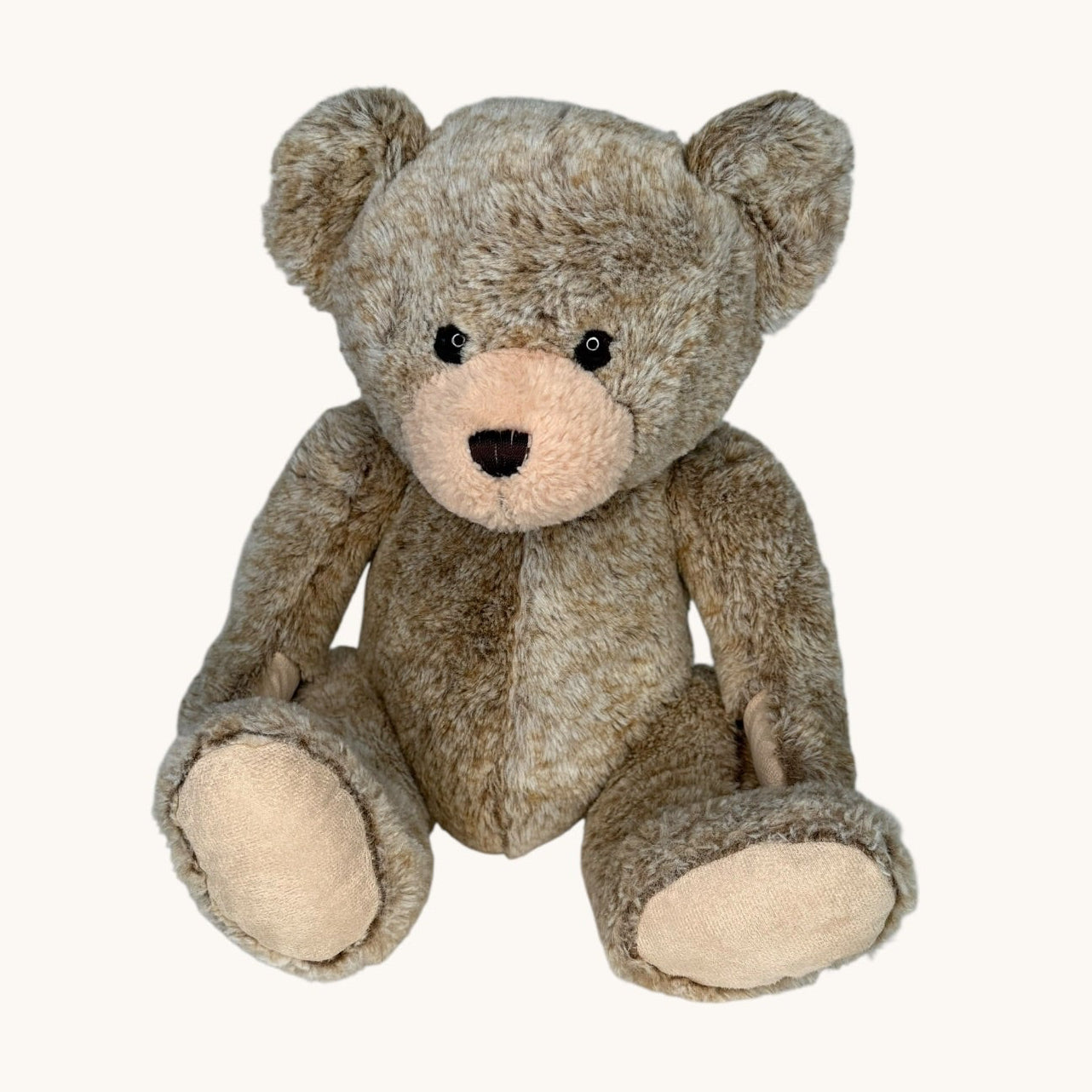 Plush teddy bear on a white background