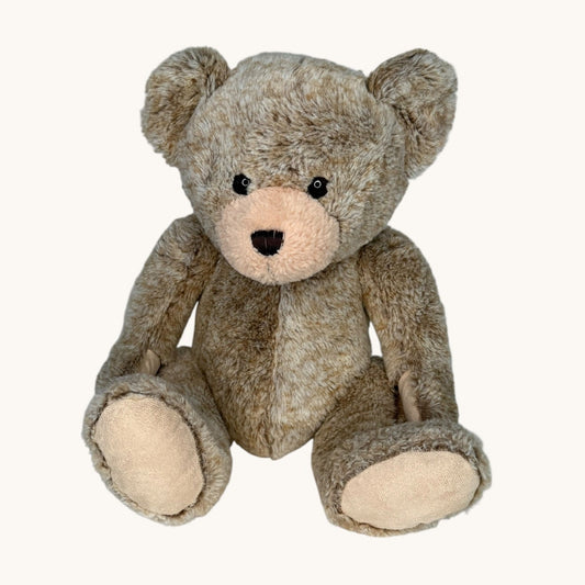Plush teddy bear on a white background