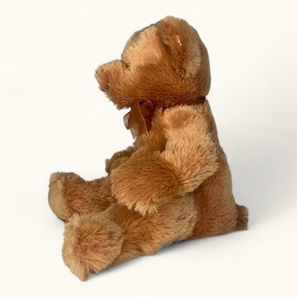 Brown teddy bear sitting on a white background