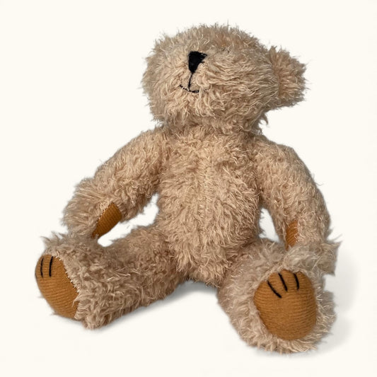 Plush teddy bear on a white background