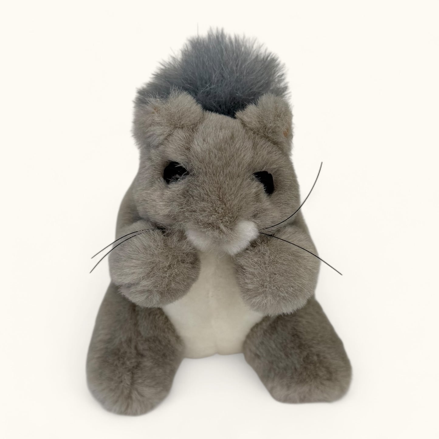 Plush toy squirrel on a white background