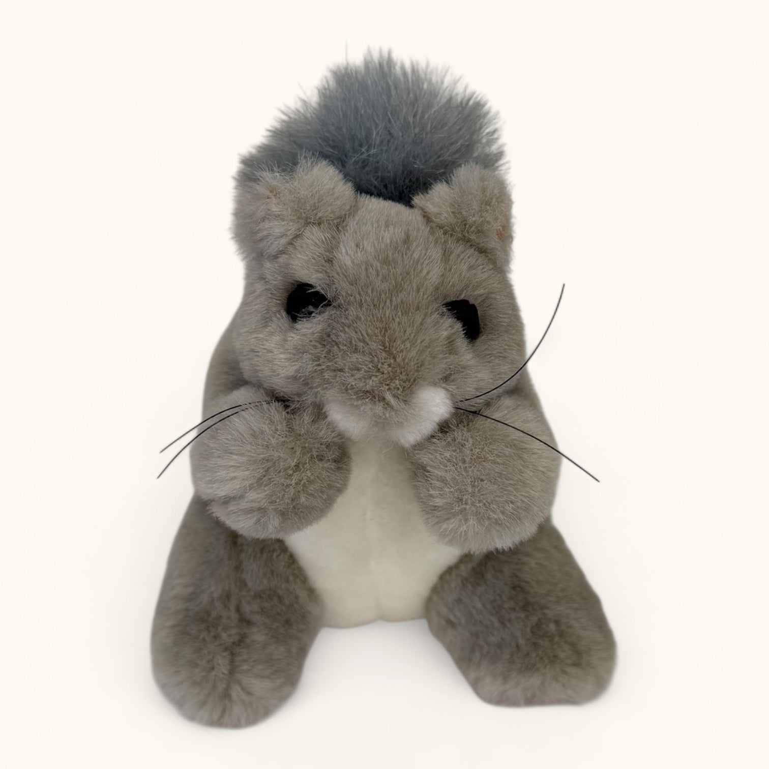 Plush toy squirrel on a white background
