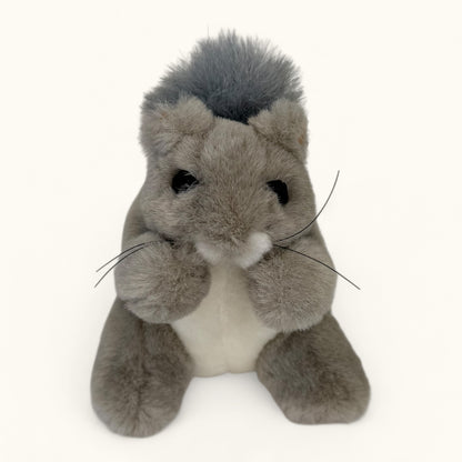 Plush toy squirrel on a white background