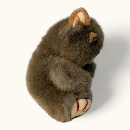 Plush toy wombat on a white background