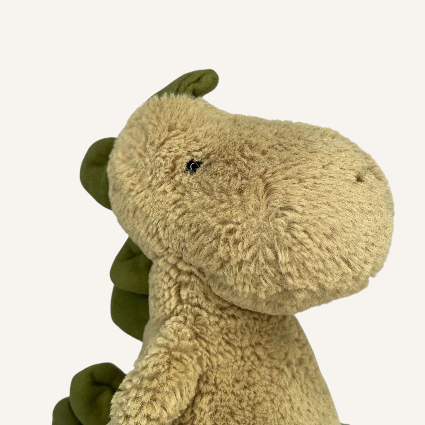 Fern