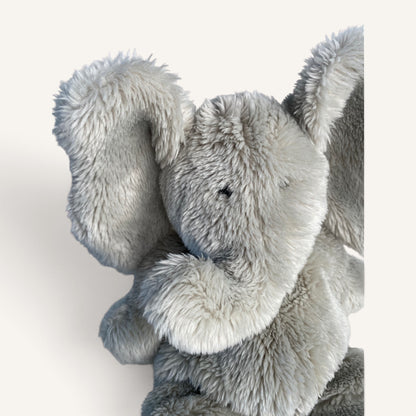 Babar