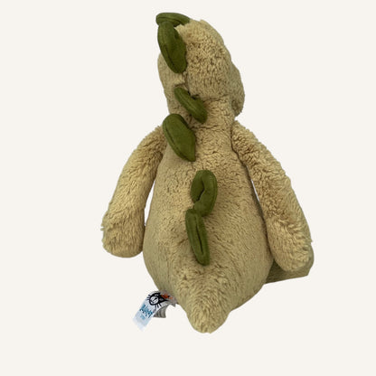 Fern
